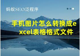 手机图片怎么转换成excel表格格式文件