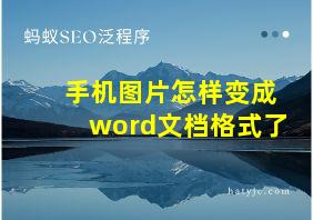 手机图片怎样变成word文档格式了