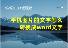 手机图片的文字怎么转换成word文字