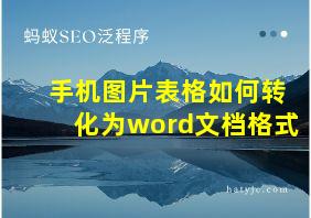 手机图片表格如何转化为word文档格式