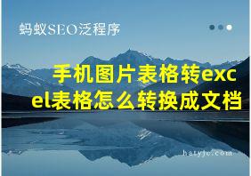 手机图片表格转excel表格怎么转换成文档