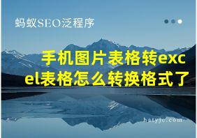 手机图片表格转excel表格怎么转换格式了