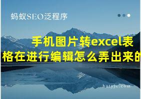 手机图片转excel表格在进行编辑怎么弄出来的