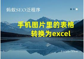 手机图片里的表格转换为excel