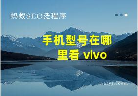 手机型号在哪里看 vivo