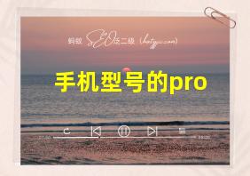 手机型号的pro