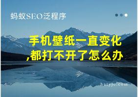 手机壁纸一直变化,都打不开了怎么办