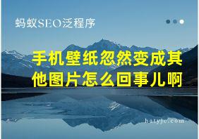 手机壁纸忽然变成其他图片怎么回事儿啊