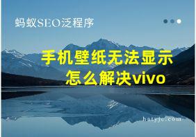 手机壁纸无法显示怎么解决vivo