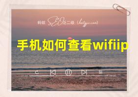 手机如何查看wifiip