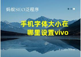 手机字体大小在哪里设置vivo