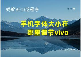 手机字体大小在哪里调节vivo