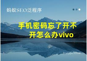 手机密码忘了开不开怎么办vivo