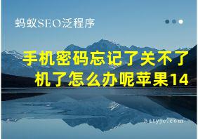 手机密码忘记了关不了机了怎么办呢苹果14