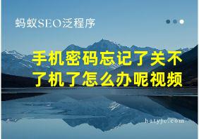 手机密码忘记了关不了机了怎么办呢视频