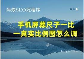 手机屏幕尺子一比一真实比例图怎么调