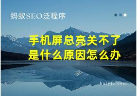 手机屏总亮关不了是什么原因怎么办