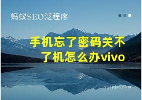 手机忘了密码关不了机怎么办vivo