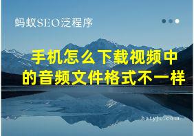 手机怎么下载视频中的音频文件格式不一样