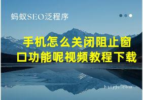 手机怎么关闭阻止窗口功能呢视频教程下载