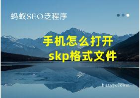 手机怎么打开skp格式文件