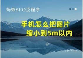 手机怎么把图片缩小到5m以内