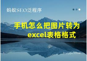 手机怎么把图片转为excel表格格式