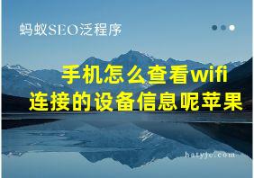 手机怎么查看wifi连接的设备信息呢苹果