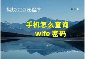 手机怎么查询wife 密码