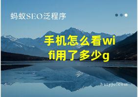 手机怎么看wifi用了多少g