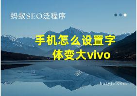 手机怎么设置字体变大vivo