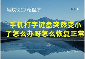 手机打字键盘突然变小了怎么办呀怎么恢复正常