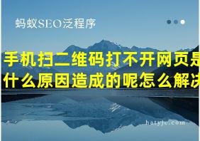 手机扫二维码打不开网页是什么原因造成的呢怎么解决