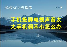 手机投屏电视声音太大手机调不小怎么办