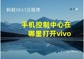 手机控制中心在哪里打开vivo