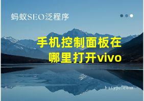 手机控制面板在哪里打开vivo