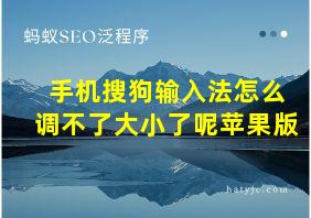 手机搜狗输入法怎么调不了大小了呢苹果版