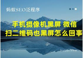 手机摄像机黑屏 微信扫二维码也黑屏怎么回事