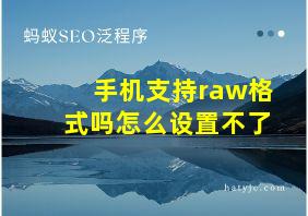 手机支持raw格式吗怎么设置不了