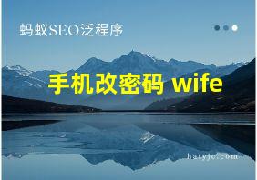 手机改密码 wife