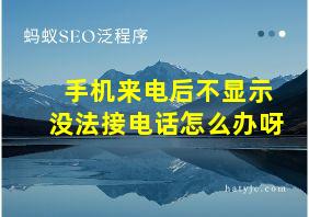 手机来电后不显示没法接电话怎么办呀