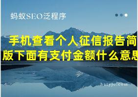 手机查看个人征信报告简版下面有支付金额什么意思