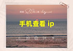 手机查看 ip