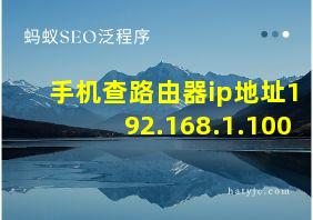 手机查路由器ip地址192.168.1.100