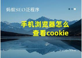 手机浏览器怎么查看cookie