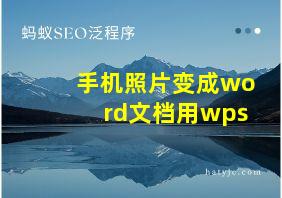 手机照片变成word文档用wps