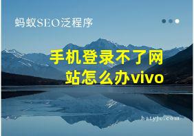 手机登录不了网站怎么办vivo