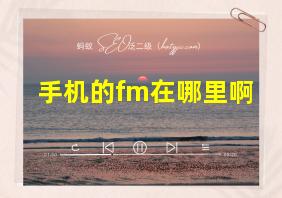 手机的fm在哪里啊