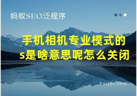 手机相机专业模式的s是啥意思呢怎么关闭