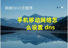 手机移动网络怎么设置 dns